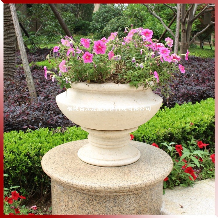 1616566815450361.jpg 埃及米黃花缽圖片